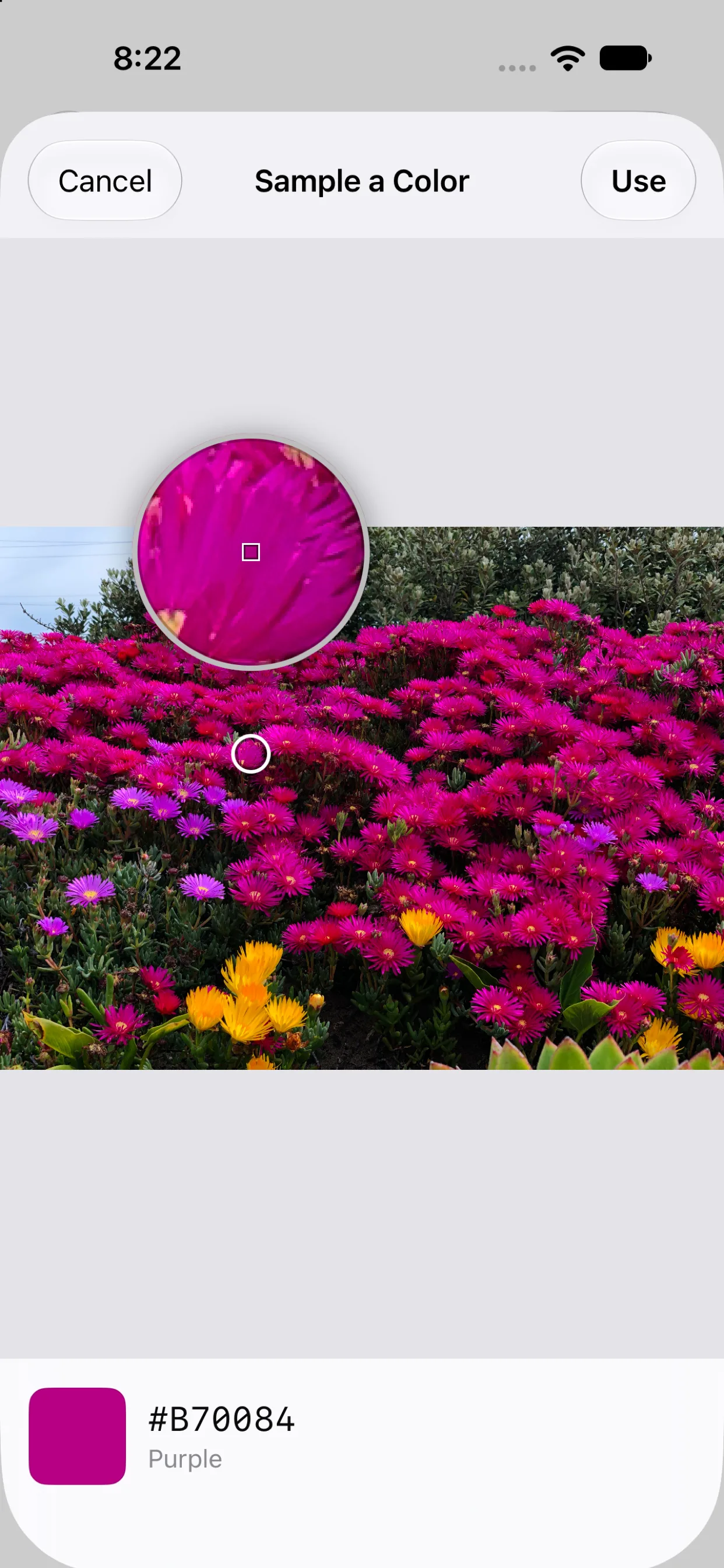 ColorPop on iPhone — sampling a color from a photo of pink flowers, with the magnified loupe showing the exact pixel and the hex underneath