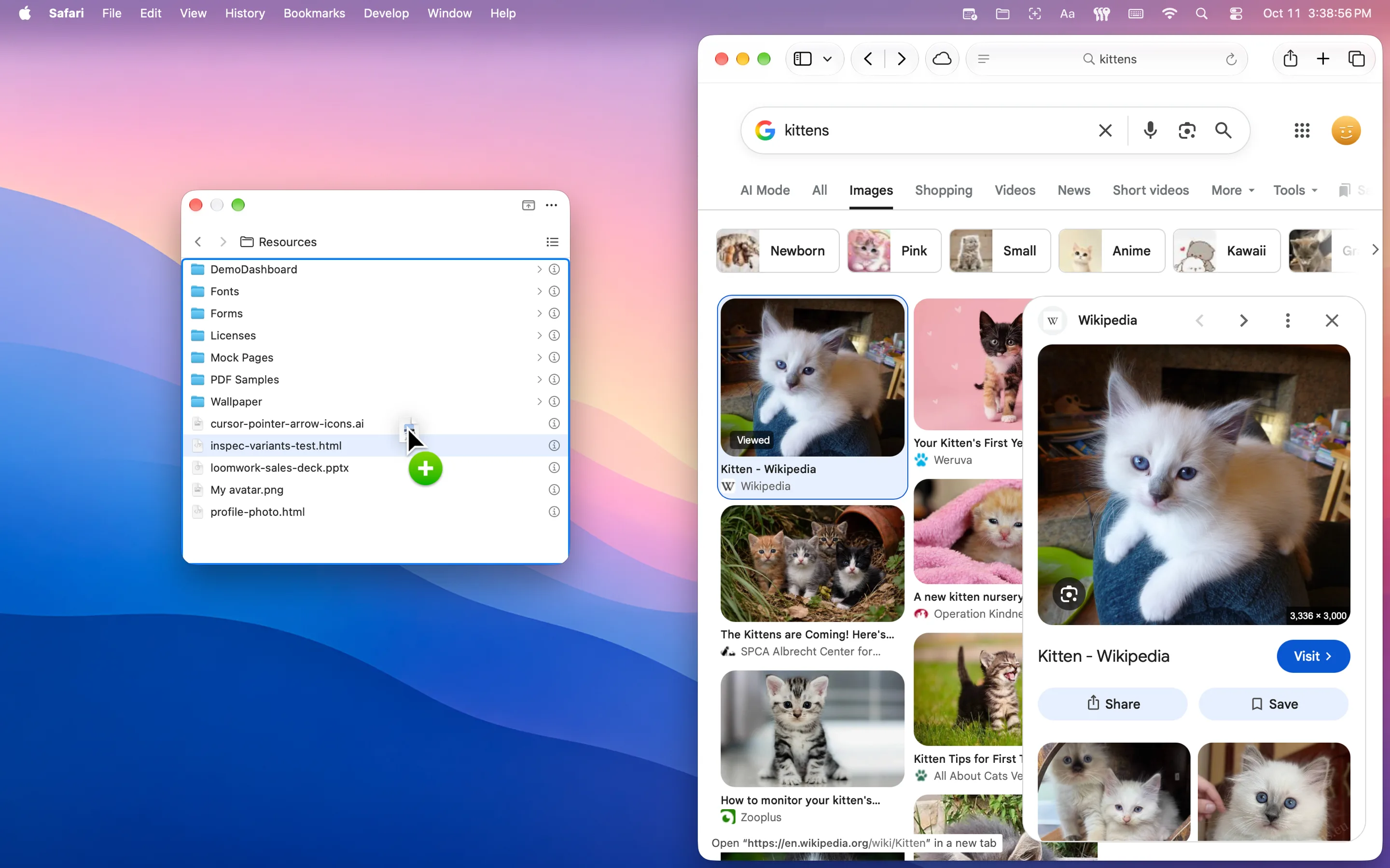 FilePop's one-column mini browser beside Safari, with a file being dragged out of it